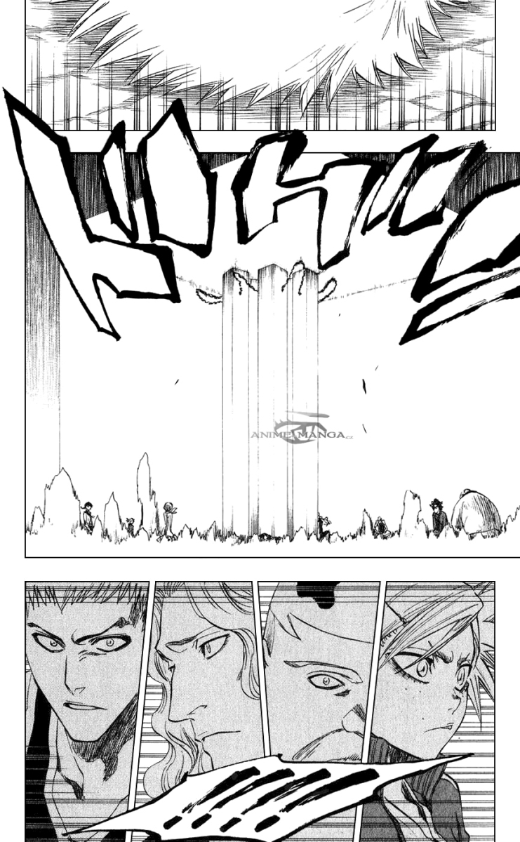 Bleach 218 10 kopie.jpg